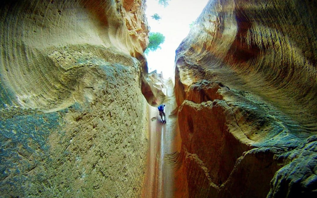 On The Road To Birch Hollow: Zion Slot Canyon Experience