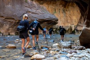 Hikers in the Narrows Zion National Park