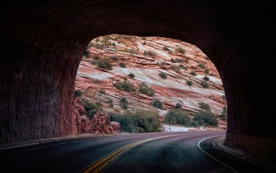 Zion Tunnel Rules 2026: New Vehicle Restrictions & Scenic Detours